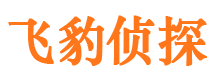 郑州外遇调查取证